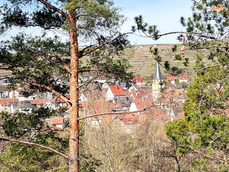 23-03-17 11-05-07 4885